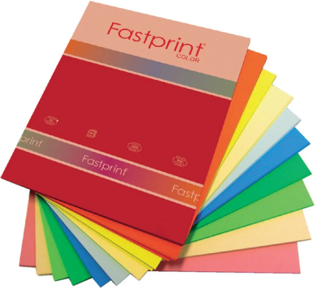Quantore Fastprint Kopieerpapier A4 80gr - 250 Vel - 10 Kleuren Assorti