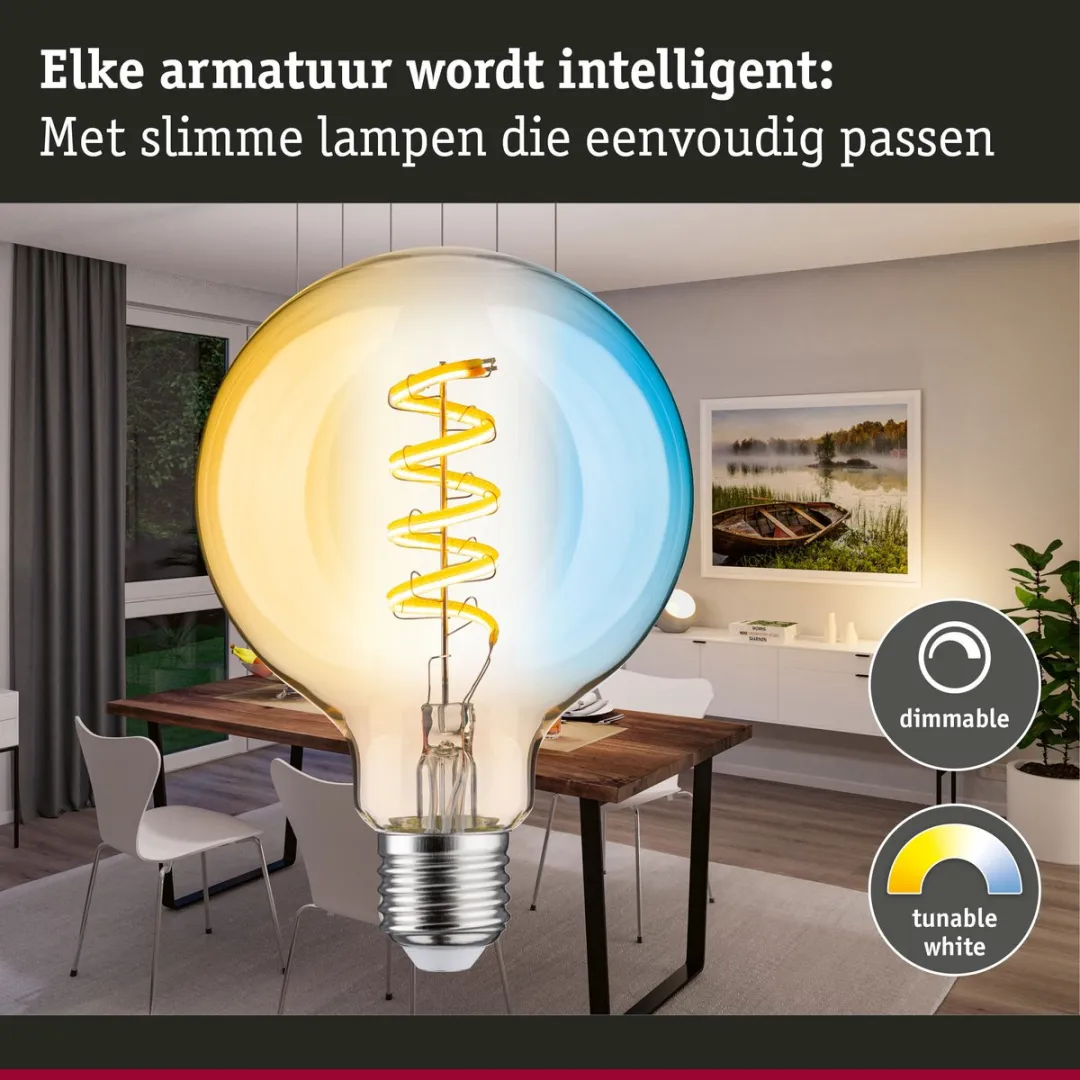 Paulmann Filament LED Globe G95 E27 600lm 7,5W Tunable White - Goud - afbeelding 6 van 6