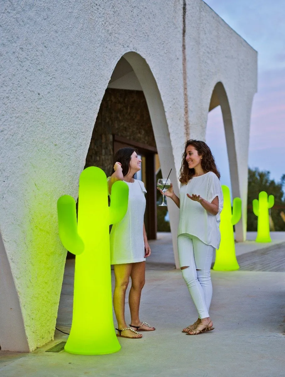 Intergard Tuinverlichting Cactus Design
