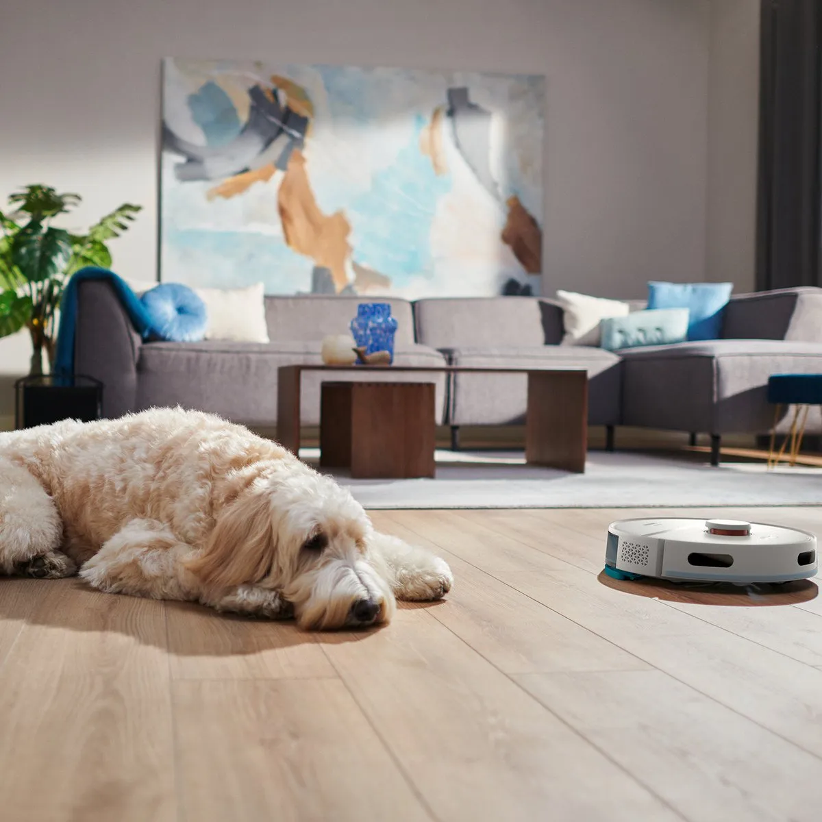 Philips HomeRun 2000 XU2000/20 Robotstofzuiger - Dweilfunctie Wit - afbeelding 6 van 6