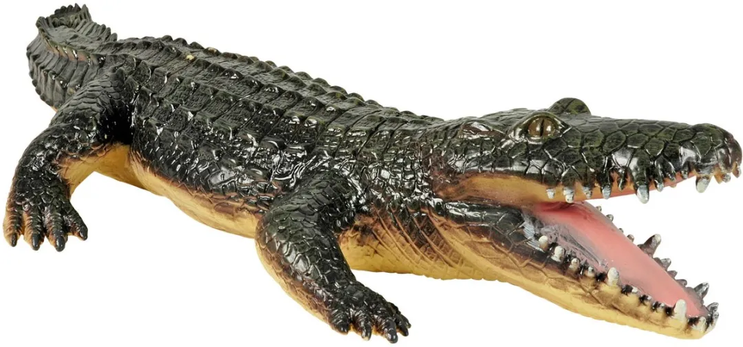 Johntoy Krokodil Speelfiguur 65cm - Multicolor