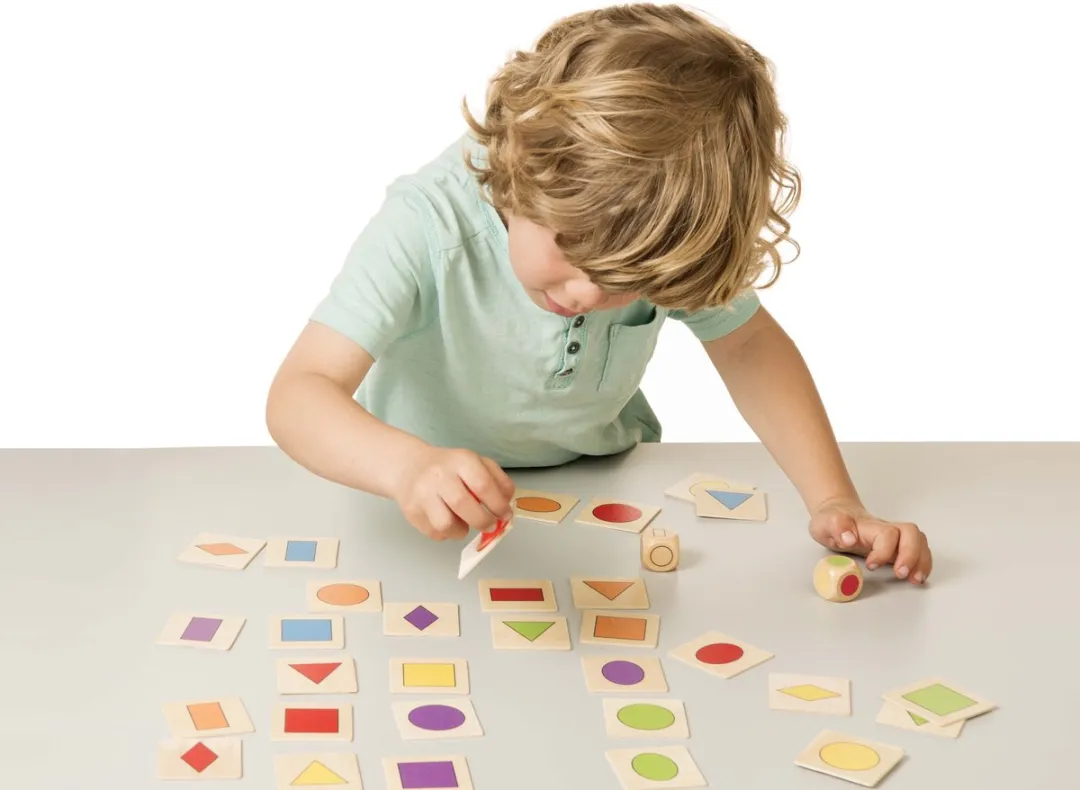 Toys for Life Vang de Vorm 100_523900 - Educatief Speelgoed - 36 Kaartjes