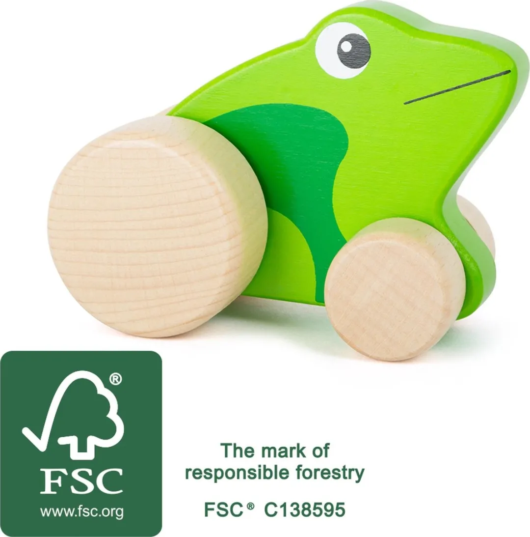 Small Foot Push-along Frog 20170588 - Groen