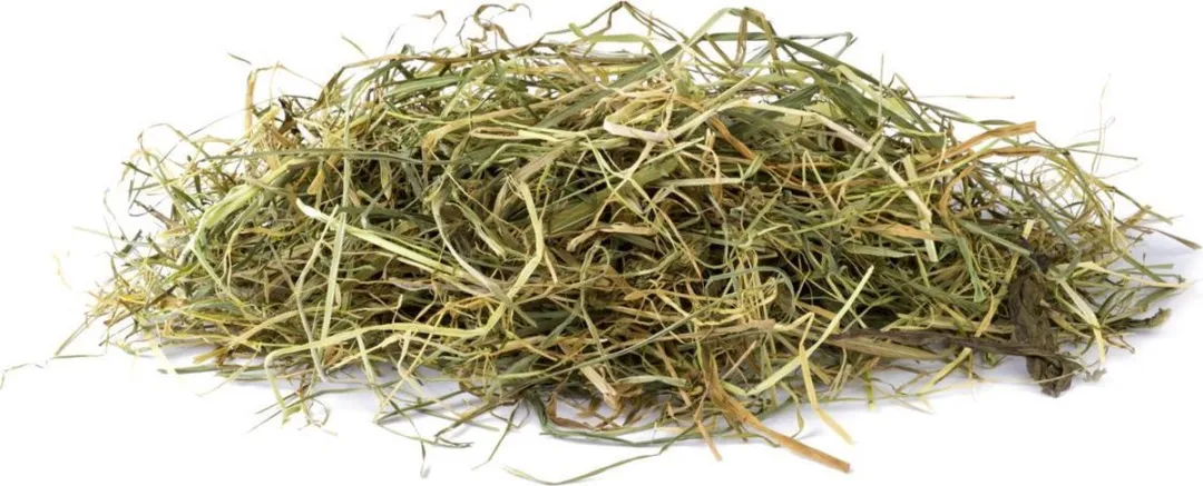 Vitakraft Vita Verde Hooi Pepermunt 500g