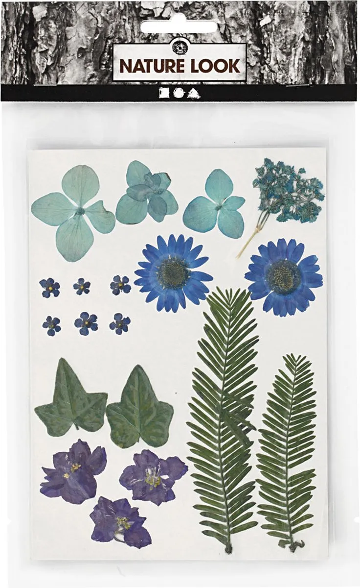 Creativ Company Gedroogde Bloemen & Bladeren - 19 Stuks Blauw