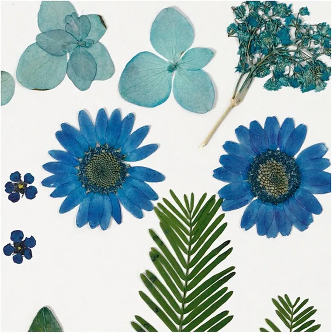 Creativ Company Gedroogde Bloemen & Bladeren - 19 Stuks Blauw