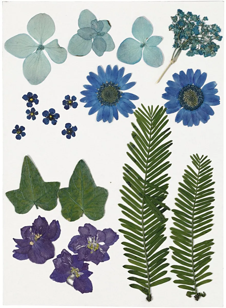 Creativ Company Gedroogde Bloemen & Bladeren - 19 Stuks Blauw
