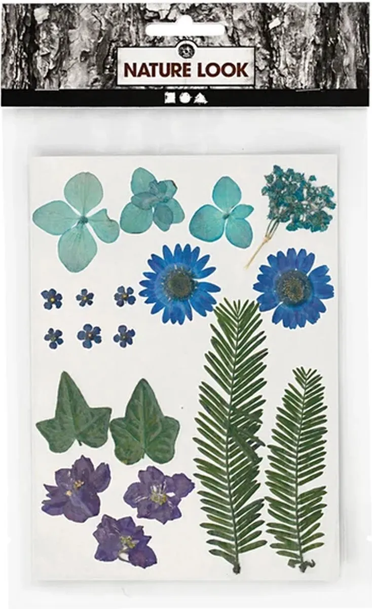 Creativ Company Gedroogde Bloemen & Bladeren - 19 Stuks Blauw