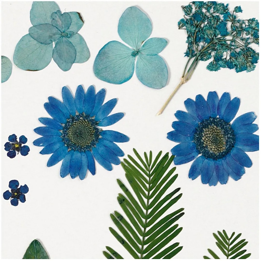 Creativ Company Gedroogde Bloemen & Bladeren - 19 Stuks Blauw
