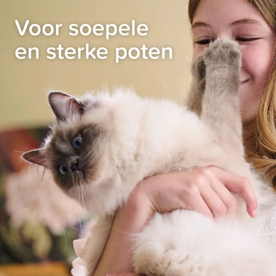 Beaphar Voetzolenspray 150ml - 3 Stuks