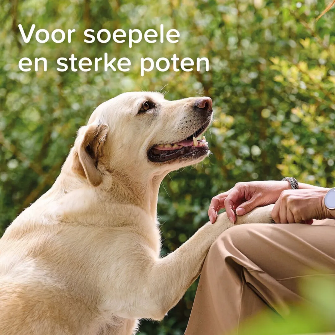 Beaphar Voetzolenspray 150ml - 3 Stuks