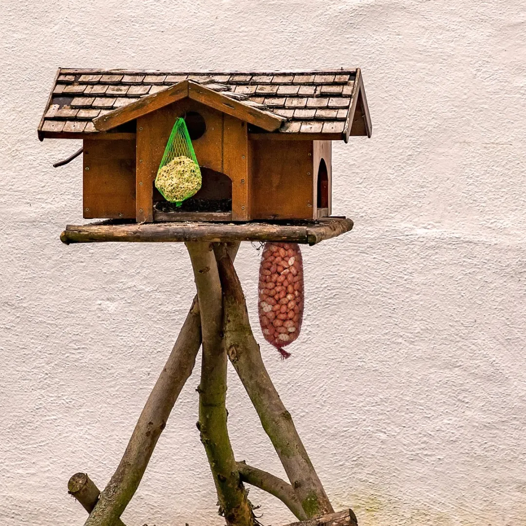 Pindanetjes – 10×200g (2 kg) – Gepeld & Ongebrand – Natuurlijk Vogelvoer