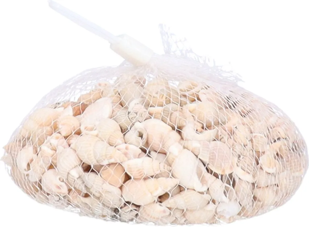 Rayher Posthoorn Schelpen - 2 Stuks - 150g - Multi