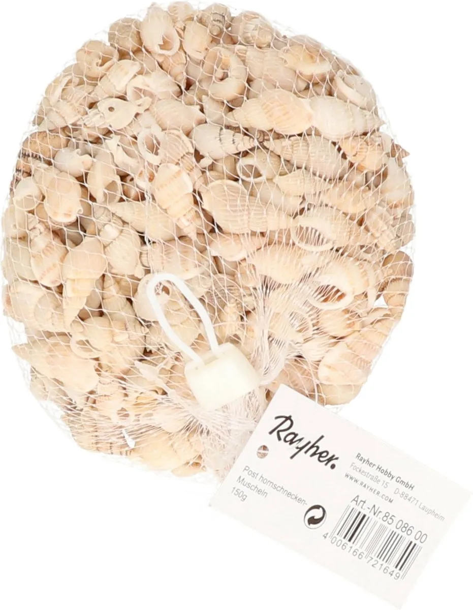 Rayher Posthoorn Schelpen - 2 Stuks - 150g - Multi