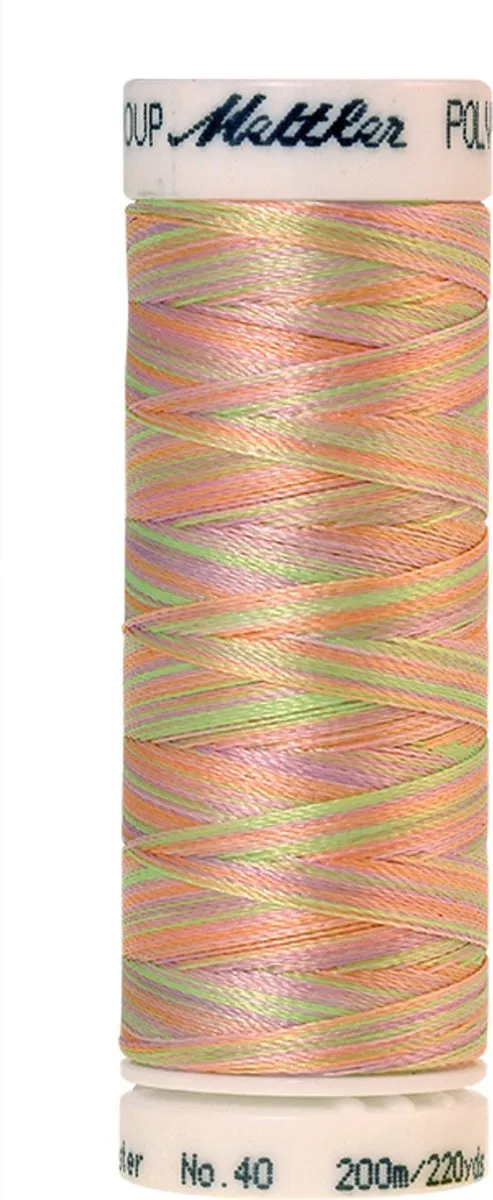 Amann Mettler Poly Multi Borduurgaren 9935