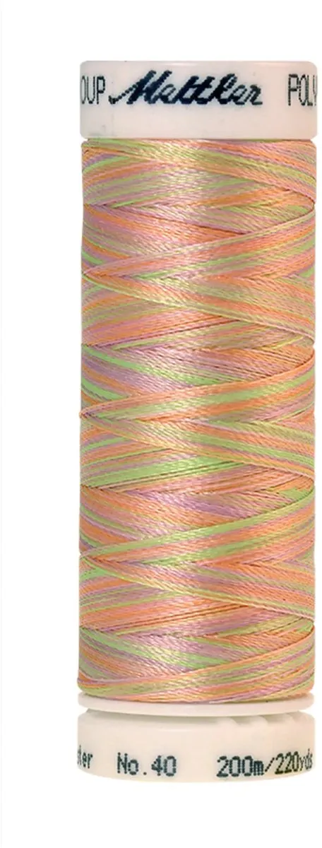 Amann Mettler Poly Multi Borduurgaren 9935 - 200m - Multicolor
