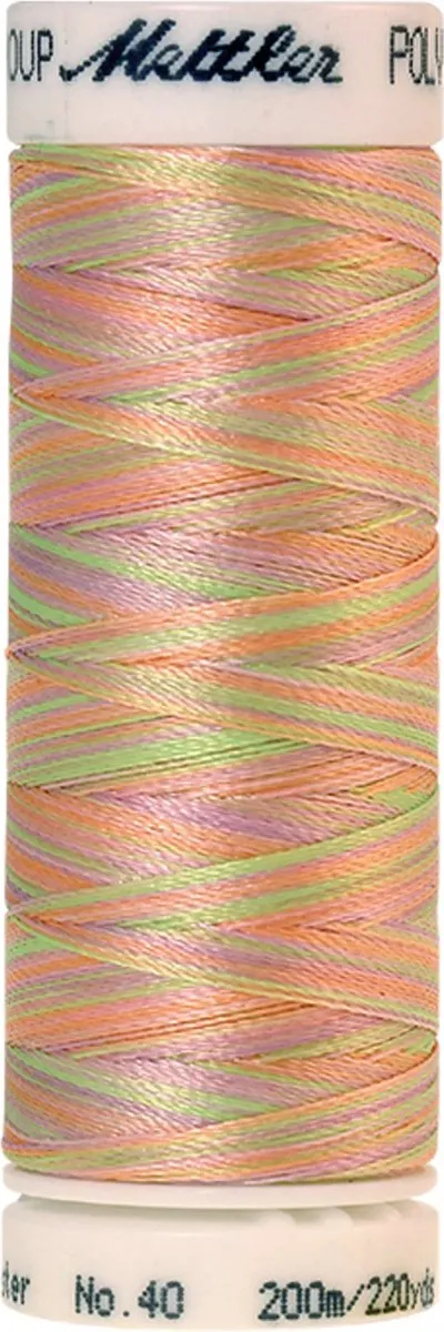 Amann Mettler Poly Multi Borduurgaren 9935 - 200m - Multicolor