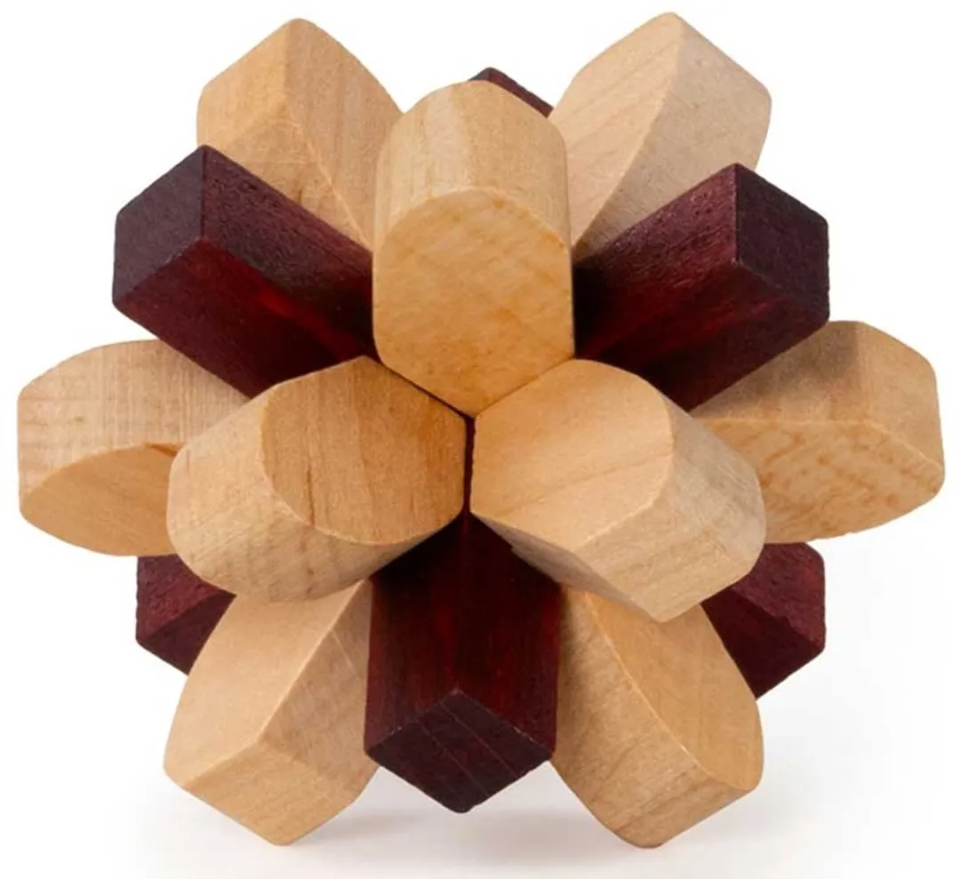 Recent Toys Parietal Lobe RT5140 Houten Breinbreker Puzzel - 2-6 Spelers