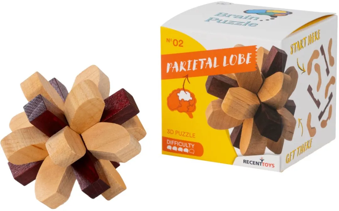 Recent Toys Parietal Lobe RT5140 Houten Breinbreker Puzzel - 2-6 Spelers