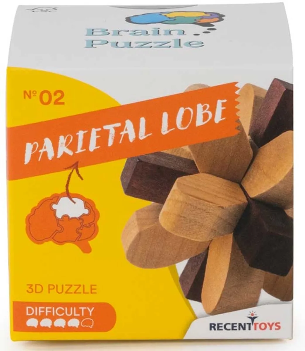 Recent Toys Parietal Lobe RT5140 Houten Breinbreker Puzzel - 2-6 Spelers