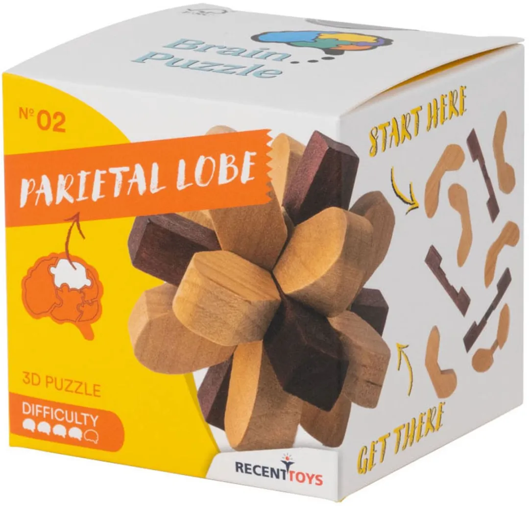 Recent Toys Parietal Lobe RT5140 Houten Breinbreker Puzzel