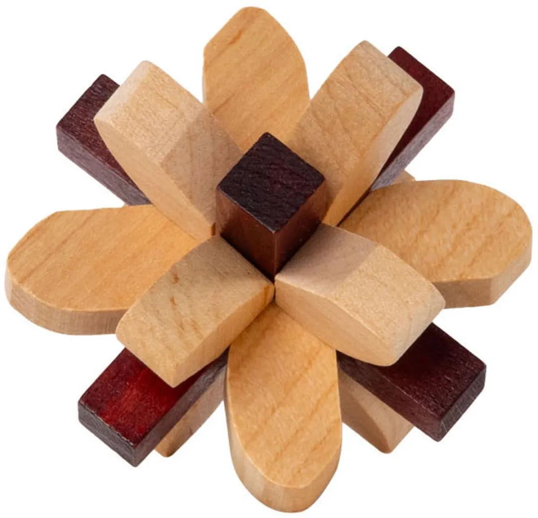 Recent Toys Parietal Lobe RT5140 Houten Breinbreker Puzzel - 2-6 Spelers