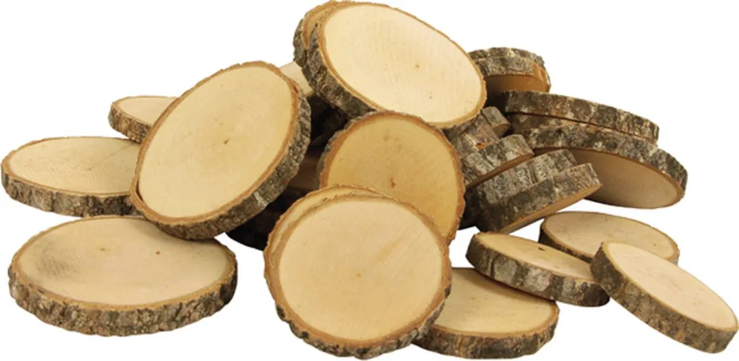 Eduplay Houten Schijven 50 Stuks