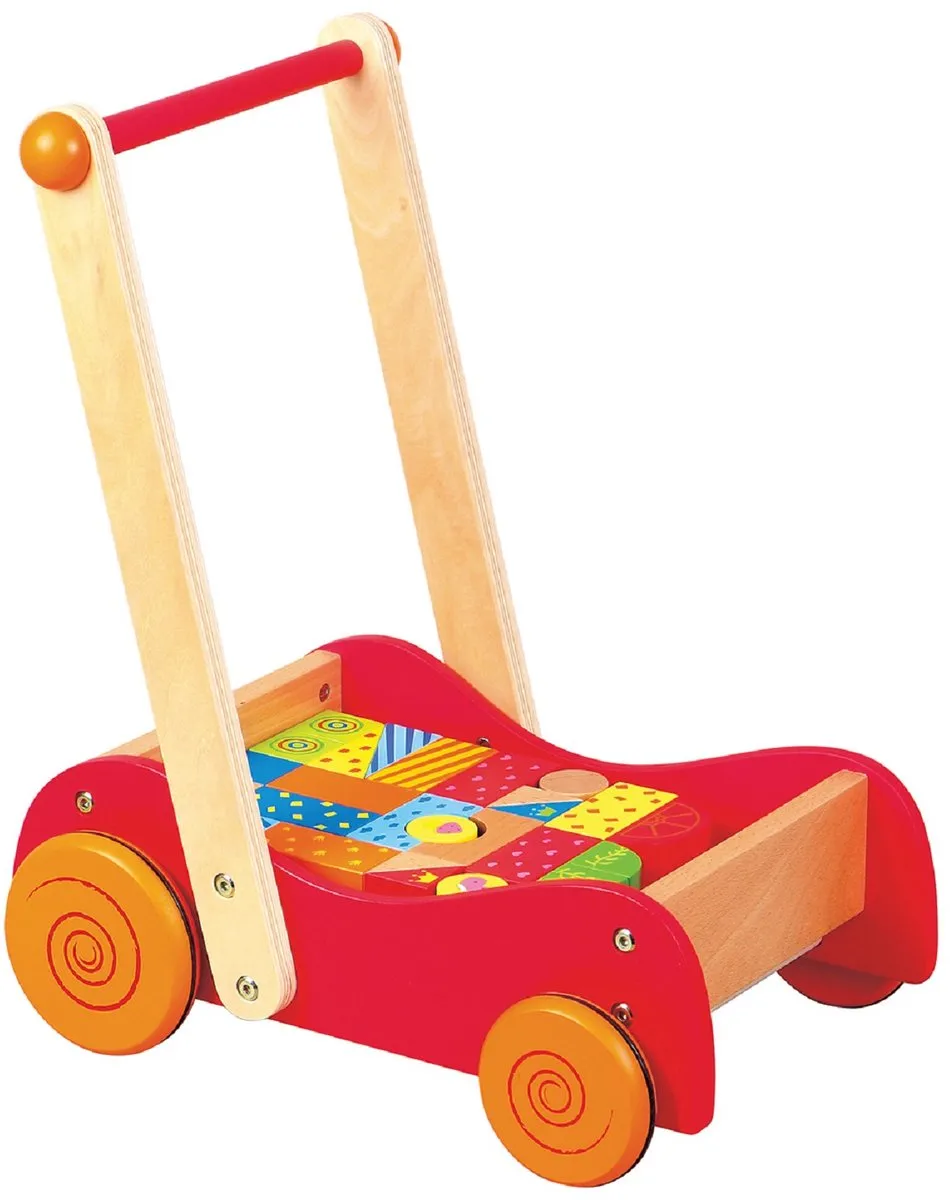 Lelin Toys - Duw en Loopwagen met 30 Gekleurde Blokken