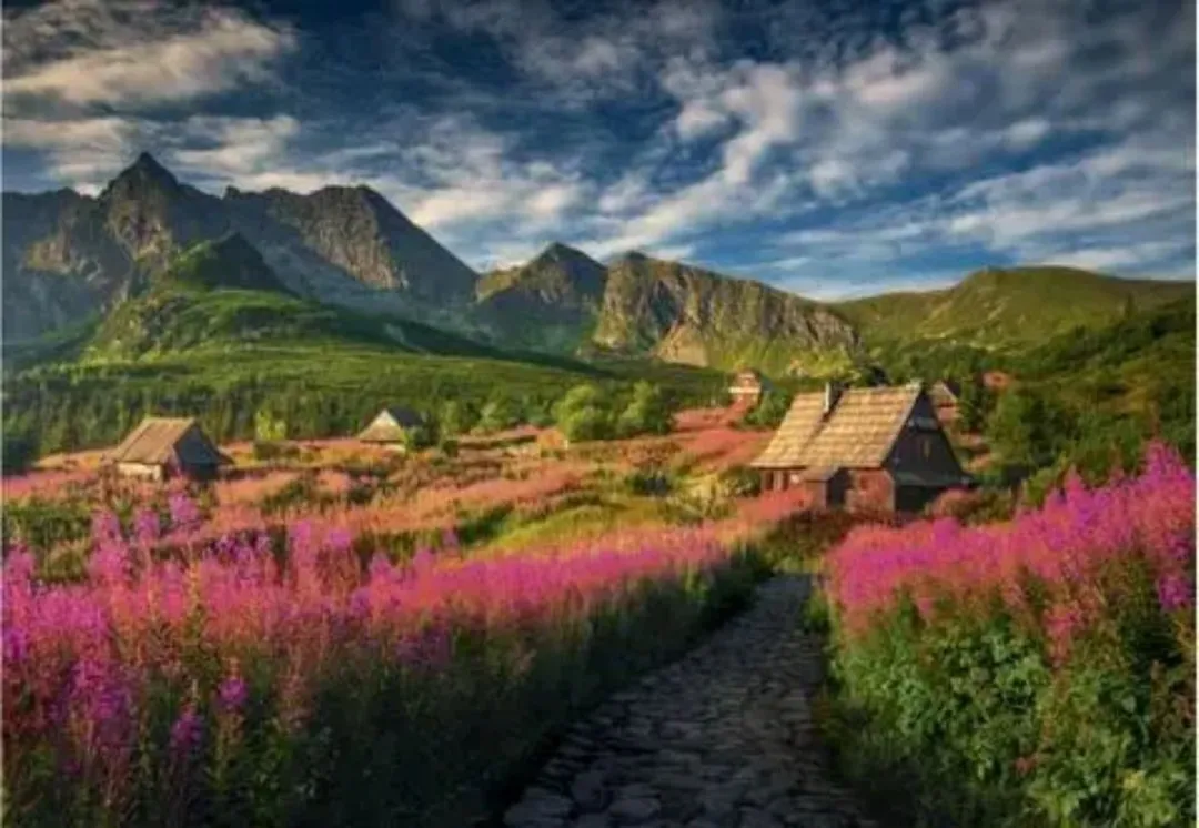 Dino puzzel van de Gasienica vallei 1000 stukjes