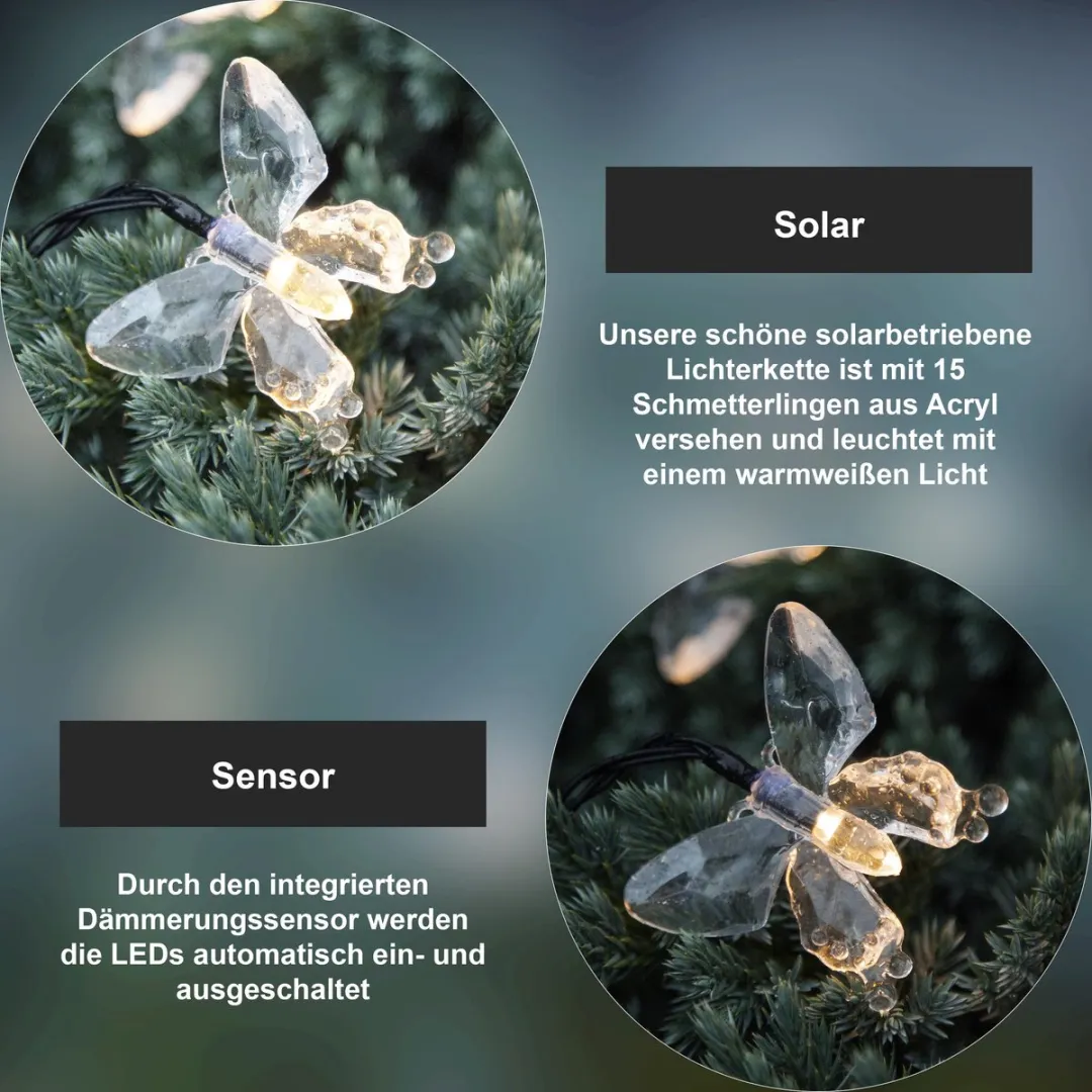 Star Trading Solar Fairy Lights Papillon - Transparant