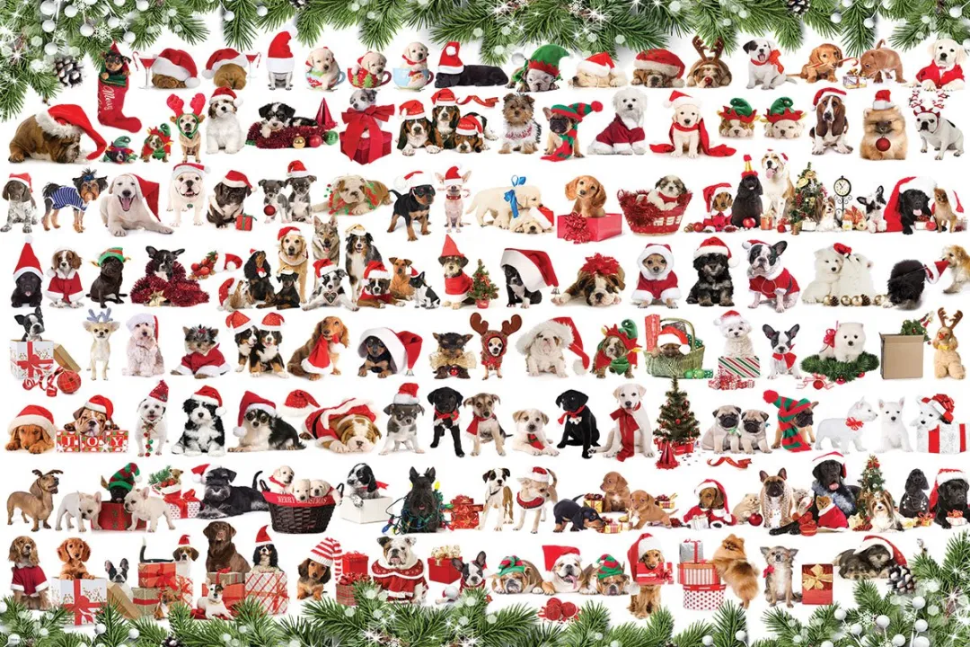 Eurographics Vakantiehonden Blik Puzzel 1000 Stuks