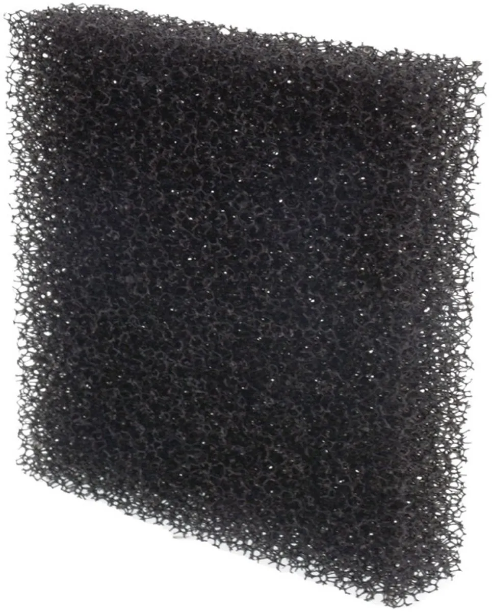 Bosch Schuimfilter 12000118