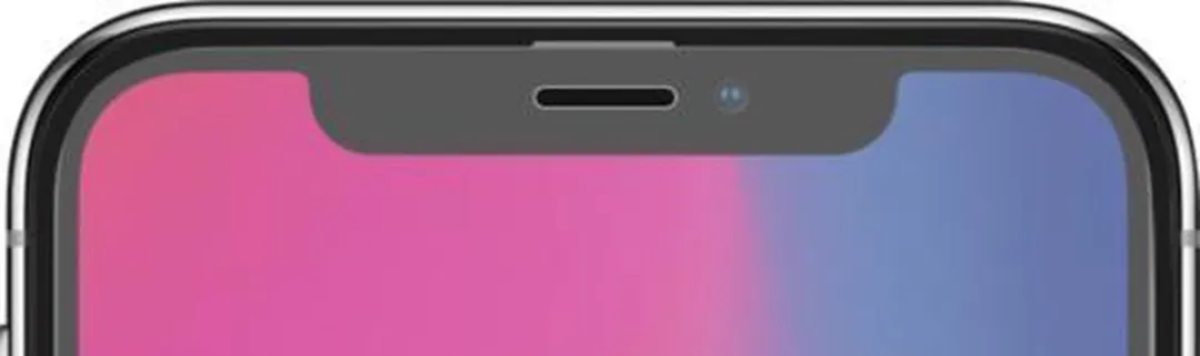 Azuri Tempered Glass FORTE iPhone 11 Pro Beschermfolie - Zwart Frame