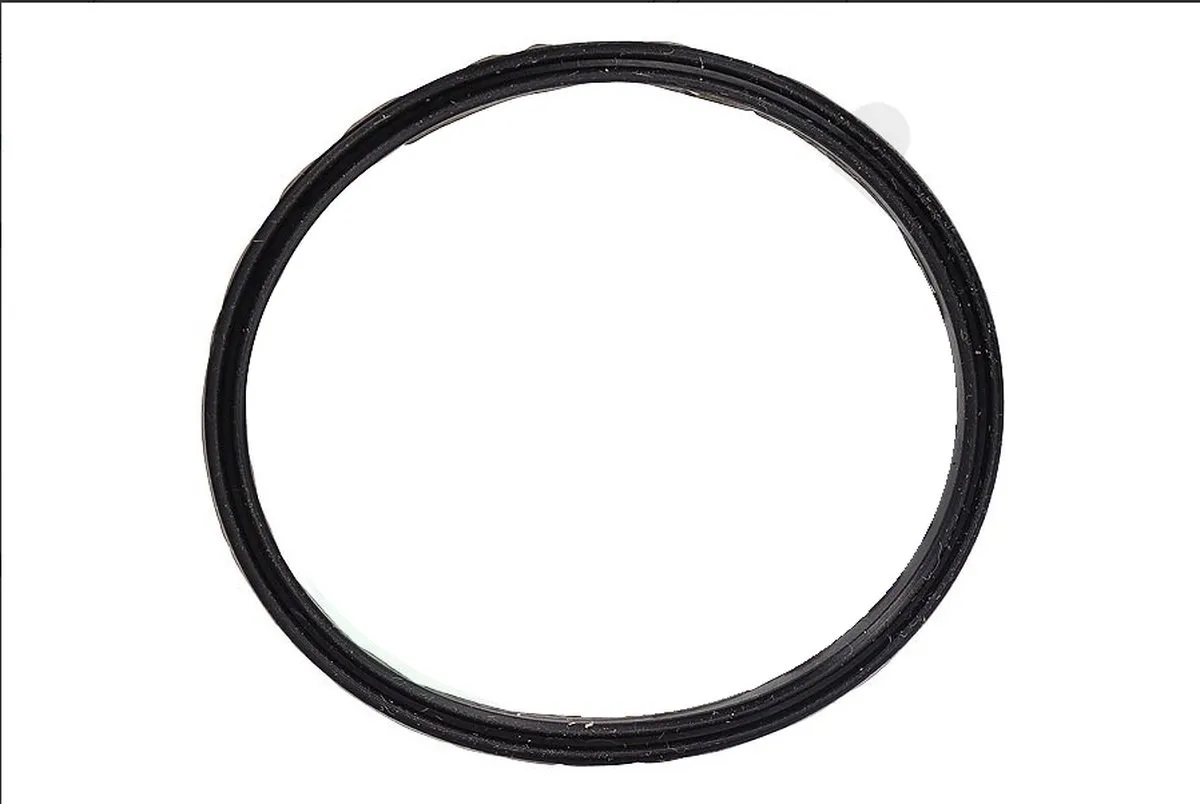 Philips Afdichtingsrubber 300005785201