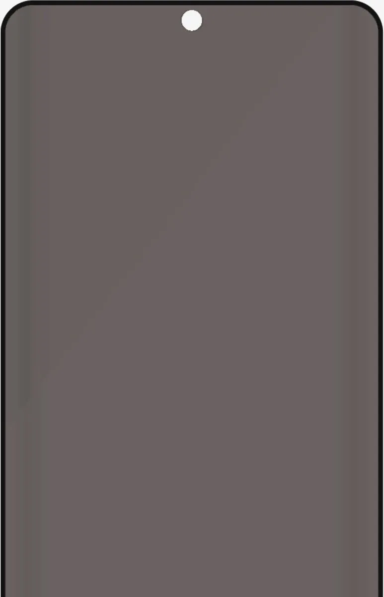 PanzerGlass PZ-P7265PZ-7258 Privacy Screenprotector - Samsung Galaxy S21 Ultra - Zwart