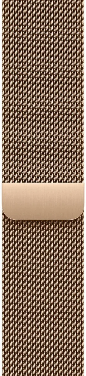 Apple Watch Series 10 42mm - Goud Titanium - 315mAh