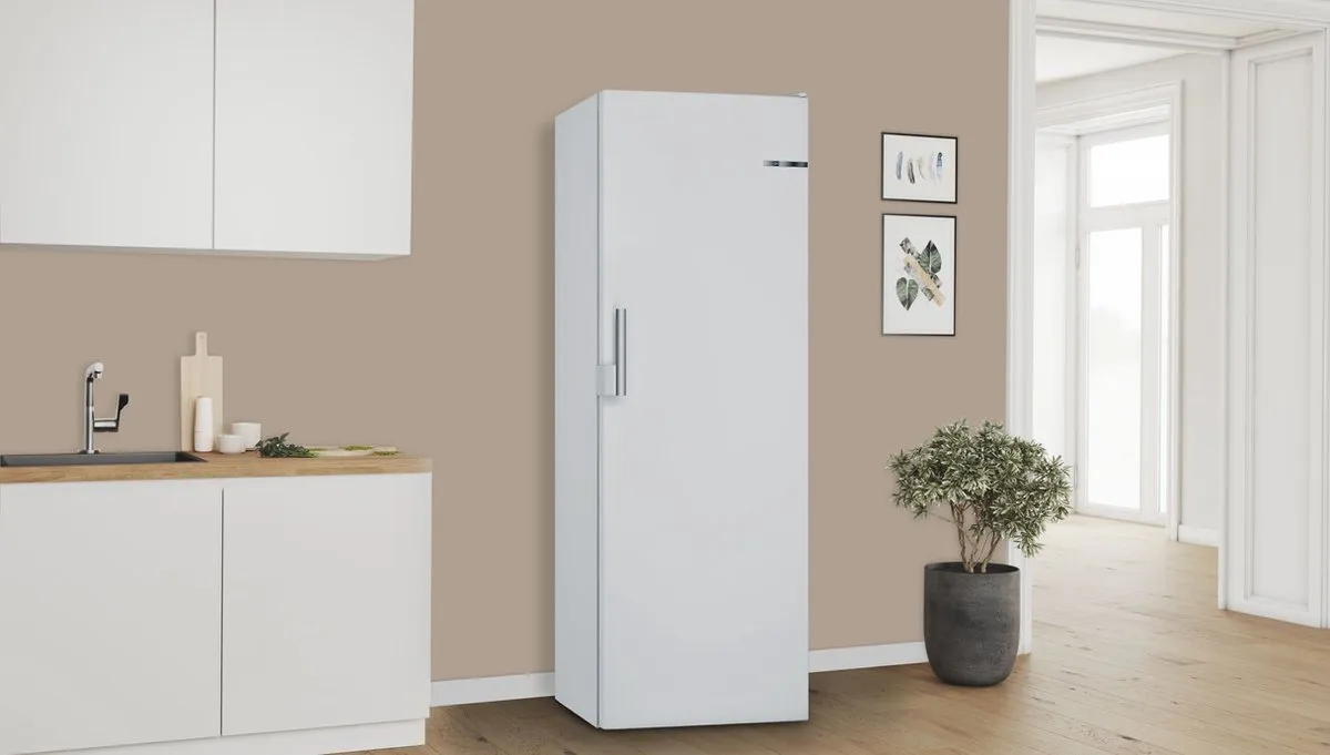 Bosch GSN29VWEP Vrijstaande Vrieskast - 200L - Wit