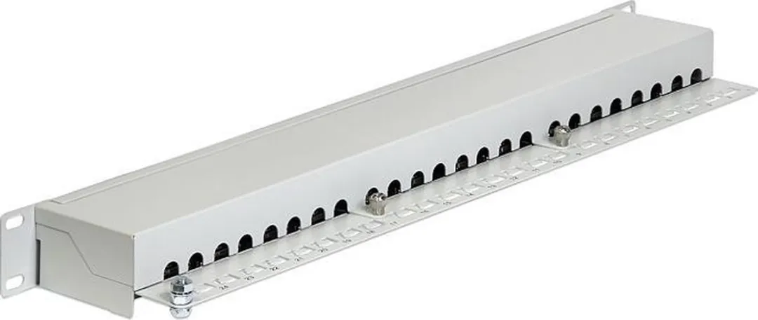 Delock 43300 Patch Paneel 1U - Grijs