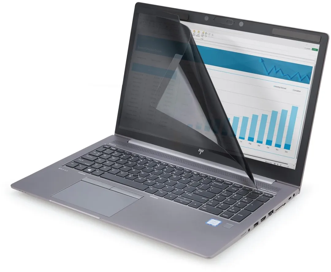 Startech 161LM-PRIVACY-SCREEN Privacyfilter - 16:10