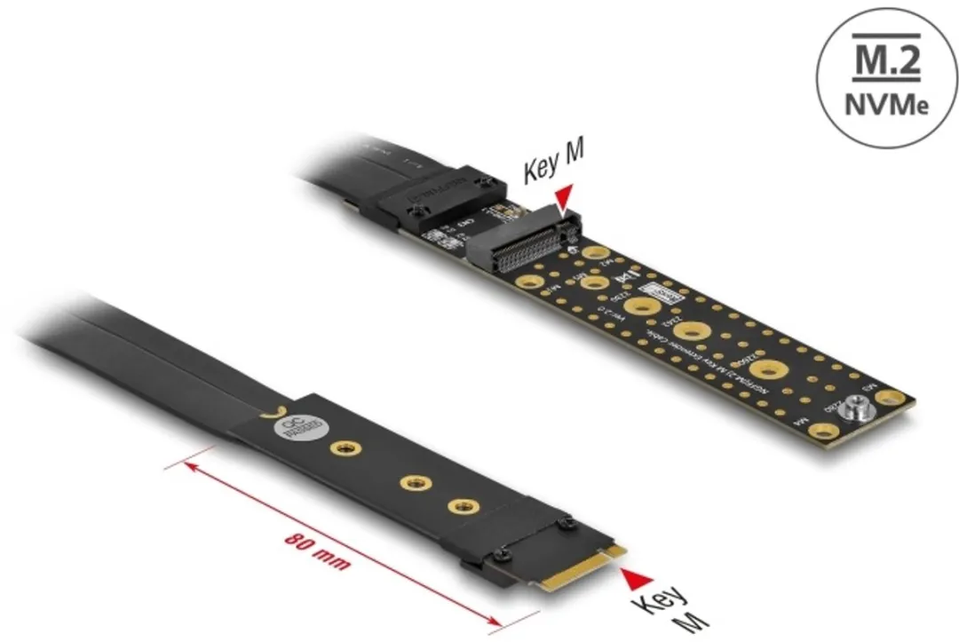 Delock M.2 Key M NVMe Riser Card