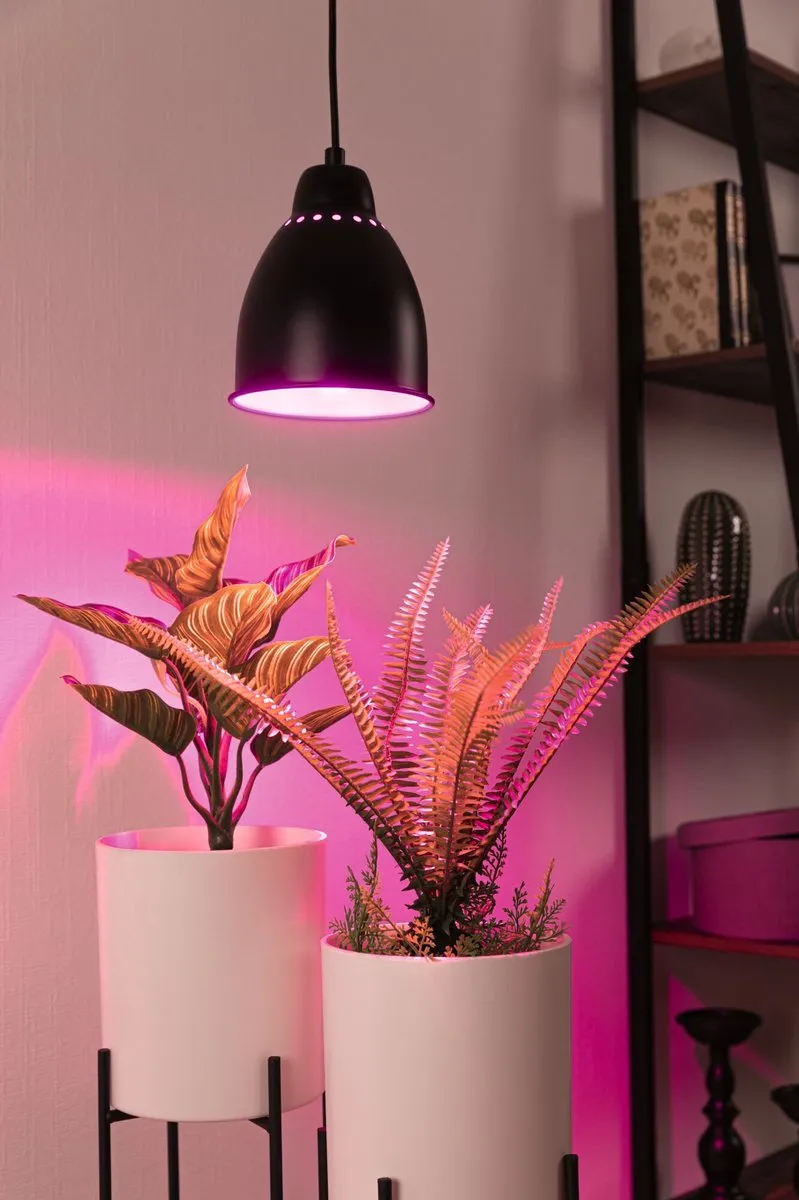 Paulmann Neordic Hanglamp Hilla E27 40W - Zwart
