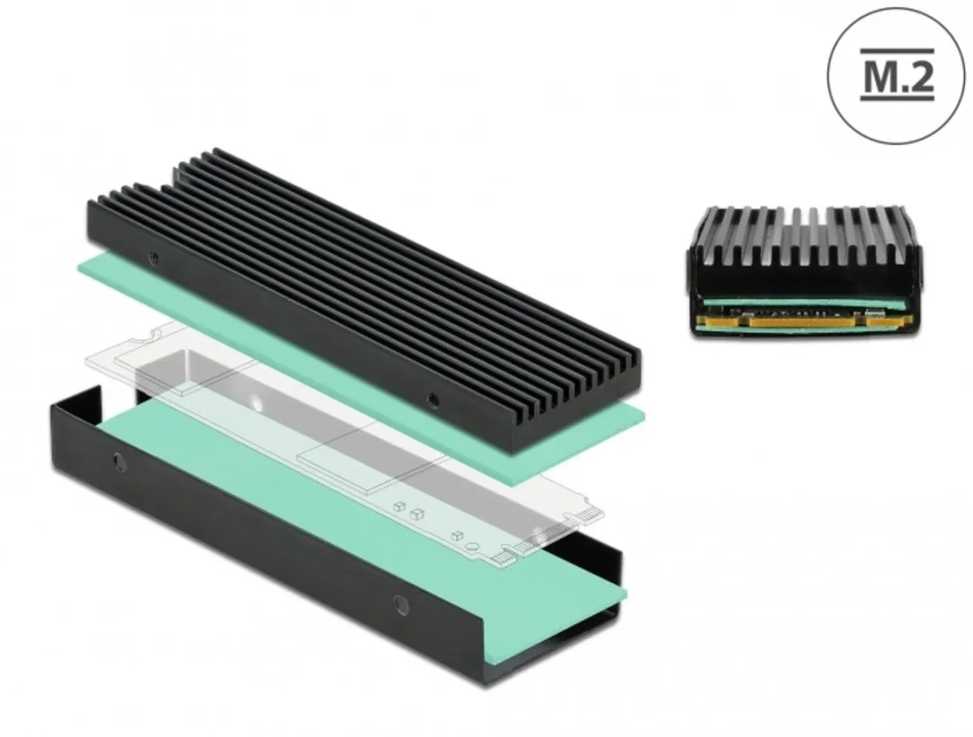 Delock M.2 SSD 2280 Koelblok - 18353 - Zwart