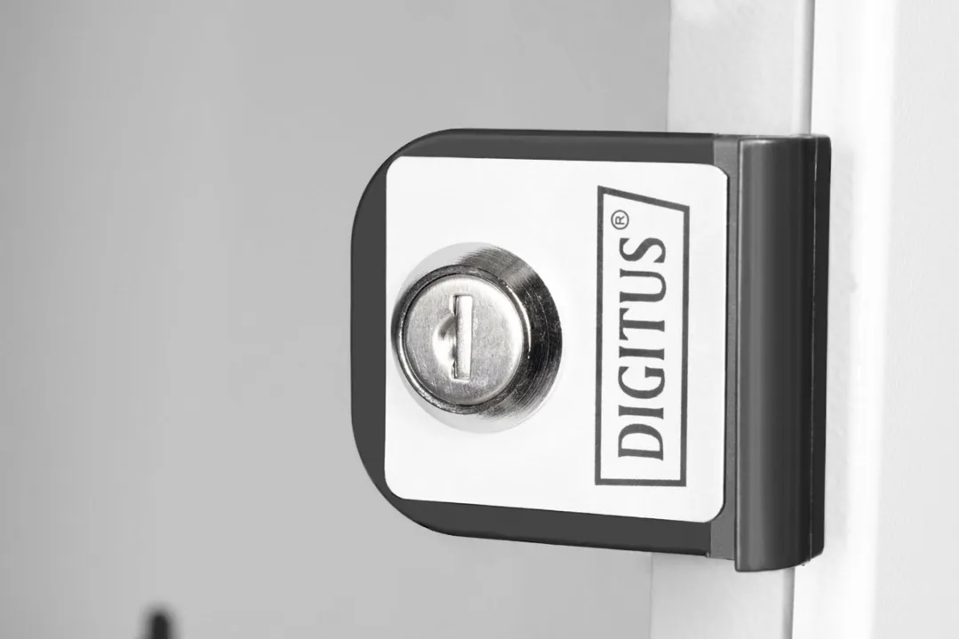 Digitus DN-49100 Wandkast 6 HE - Grijs