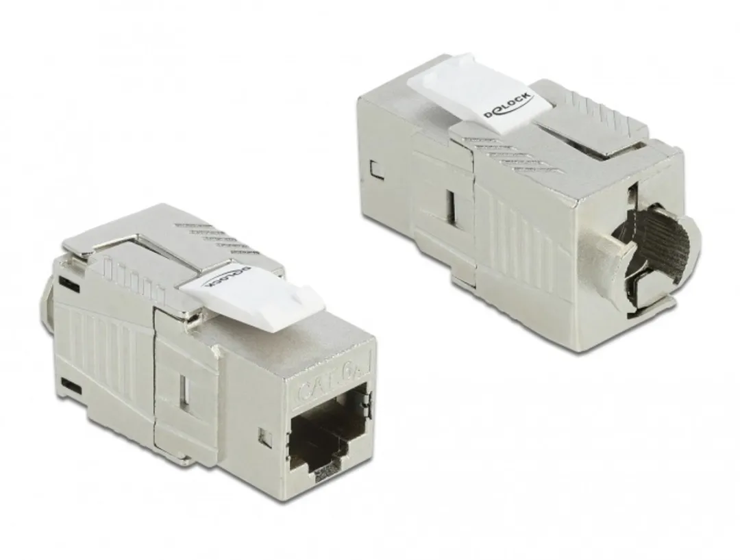 Delock Keystone RJ45 CAT6A Module - Zilver/Wit - afbeelding 2 van 2