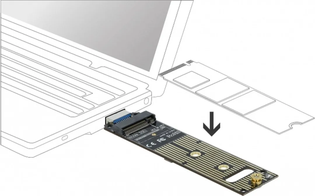 Delock M.2 NVMe naar USB 3.1 Gen 2 Converter - Groen