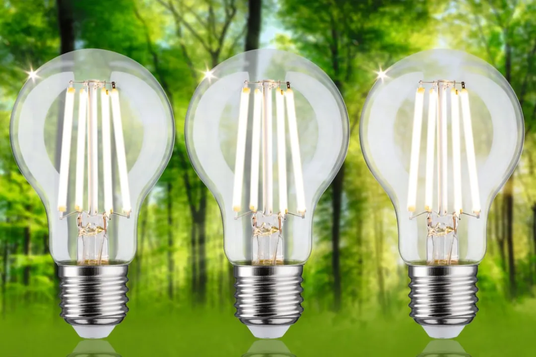 Paulmann Eco-Line LED-gloeilamp E27 4W 840lm 3000K - Set van 3