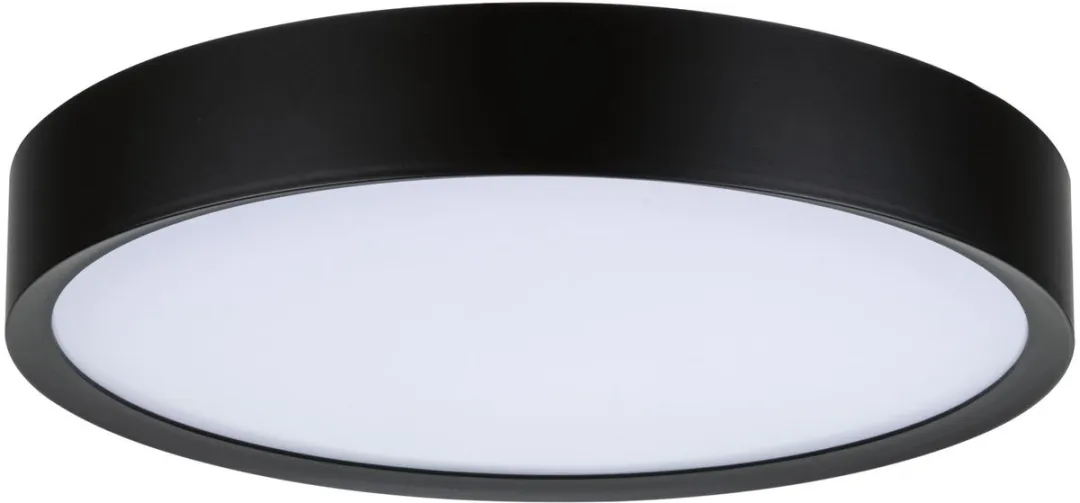 Paulmann Selection Tega LED Plafondlamp IP44 - 1200lm - Zwart mat
