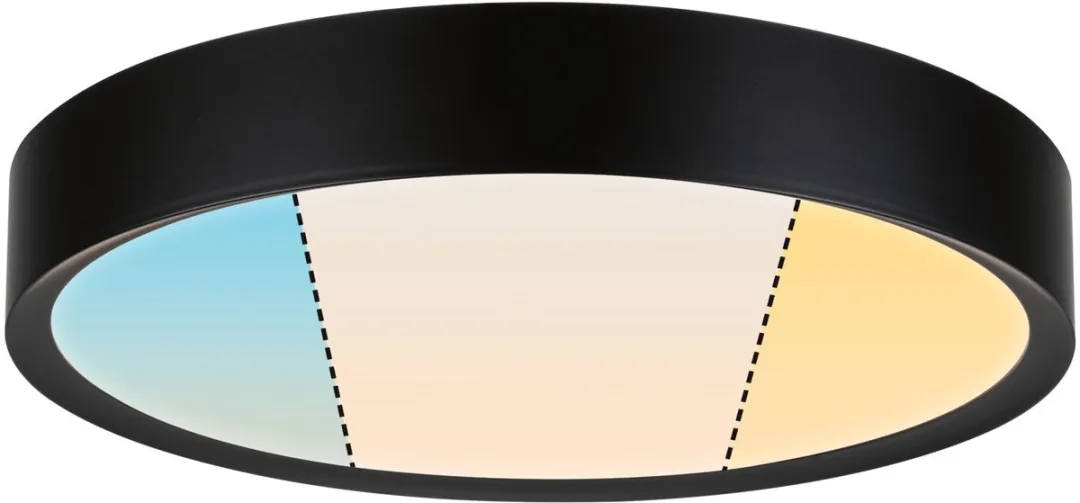 Paulmann Selection Tega LED Plafondlamp IP44 - 1200lm - Zwart mat