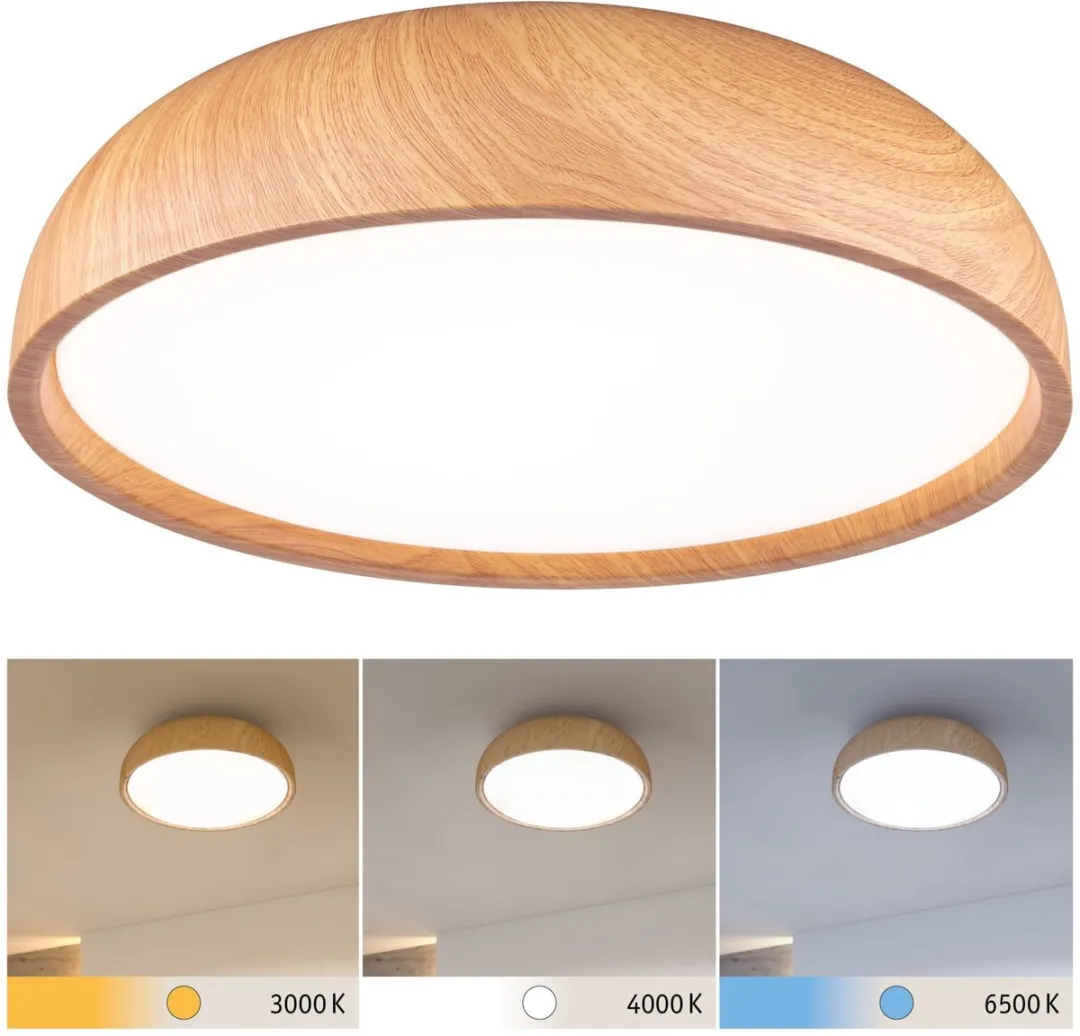Paulmann Selection Bathroom LED Plafondlamp Oka IP44