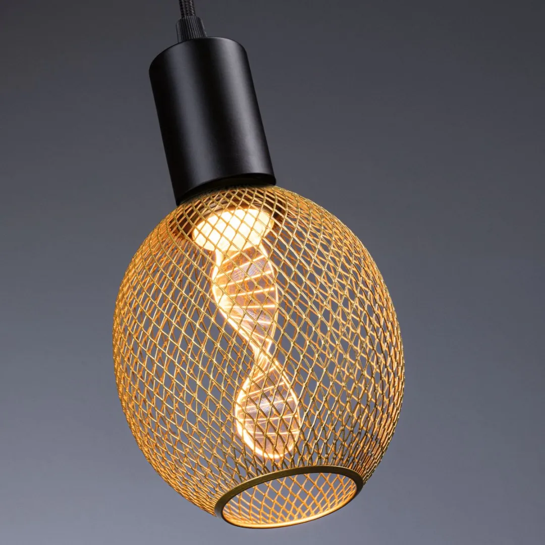 Paulmann Hanglamp Ravi IP44 E27 4,2W - Zwart mat - afbeelding 6 van 6